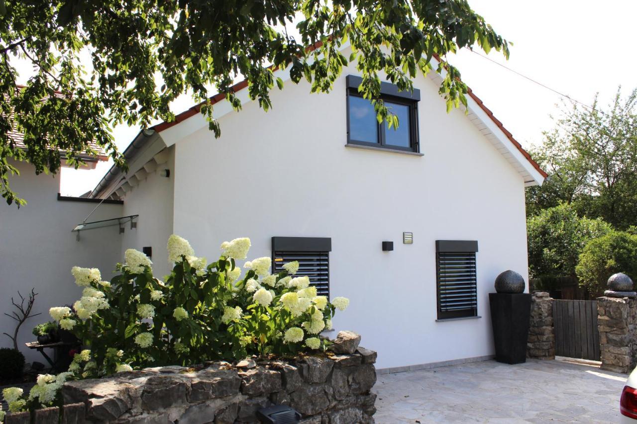Colle Divino Apartment Wurzburg Ngoại thất bức ảnh